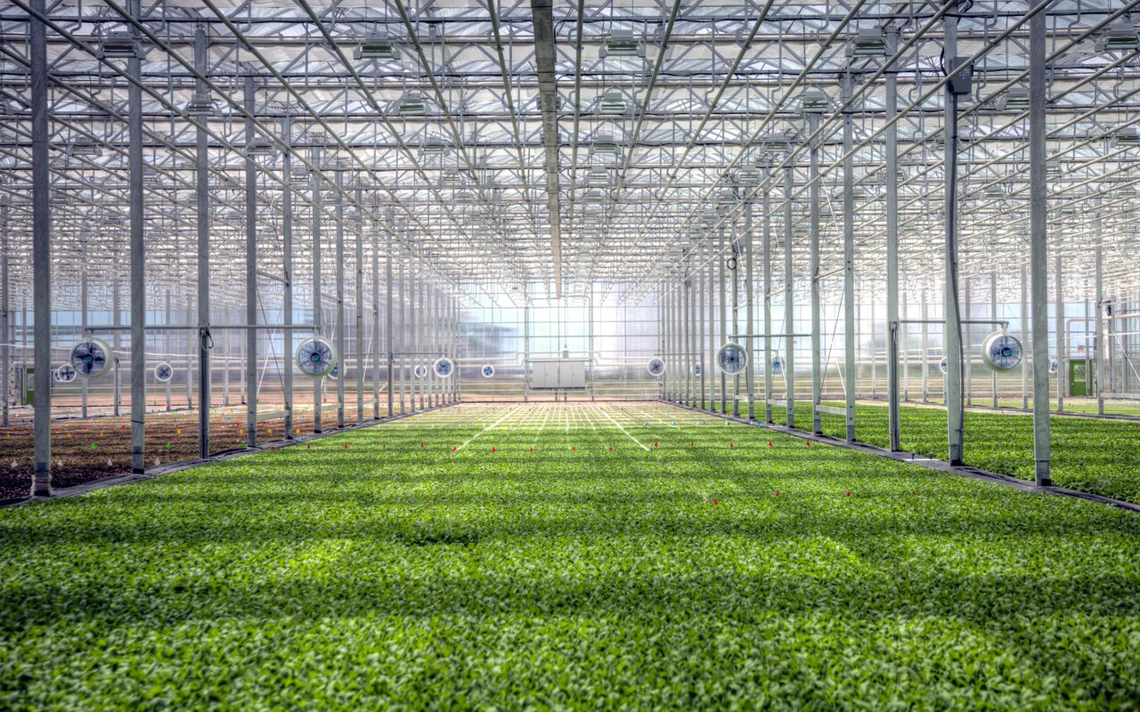Greenhouses