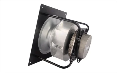 LWBE3G355-138PT-05