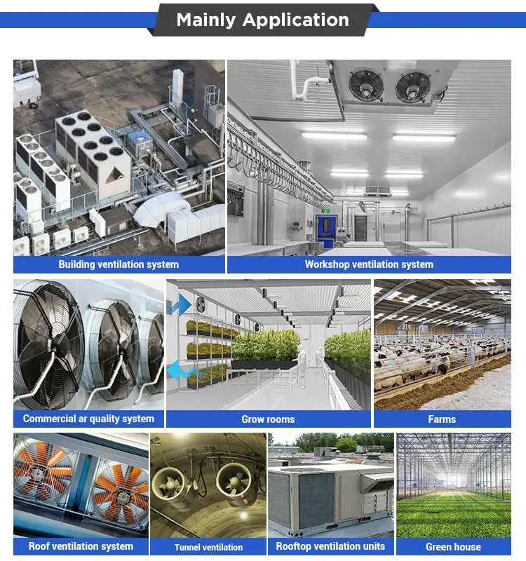 Main Application