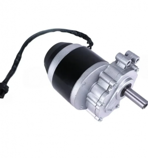 LONGWELL High Efficiency 220v 230v Dc Motor 15v 20v Dc Electric Motor 24 Volt Brushless Dc Gear Motor 20kw