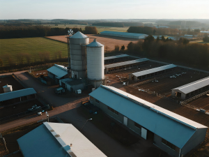 Europe’s Air Quality Revolution in Modern Farming: How LONGWELL EC Fans Achieve a Win-Win for Energy Efficiency and Animal Health