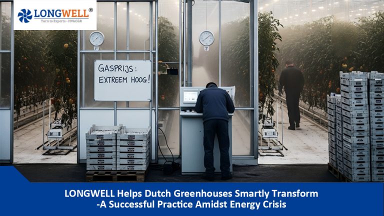 LONGWELL Helps Dutch Greenhouses Smartly Transform: A Successful Practice Amidst Energy Crisis