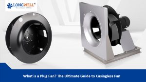 What is a Plug Fan? The Ultimate Guide to Casingless Fan