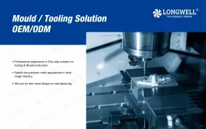 Mould Solution