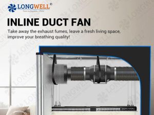 Duct Fans: A Complete Guide to Efficient Ventilation Systems