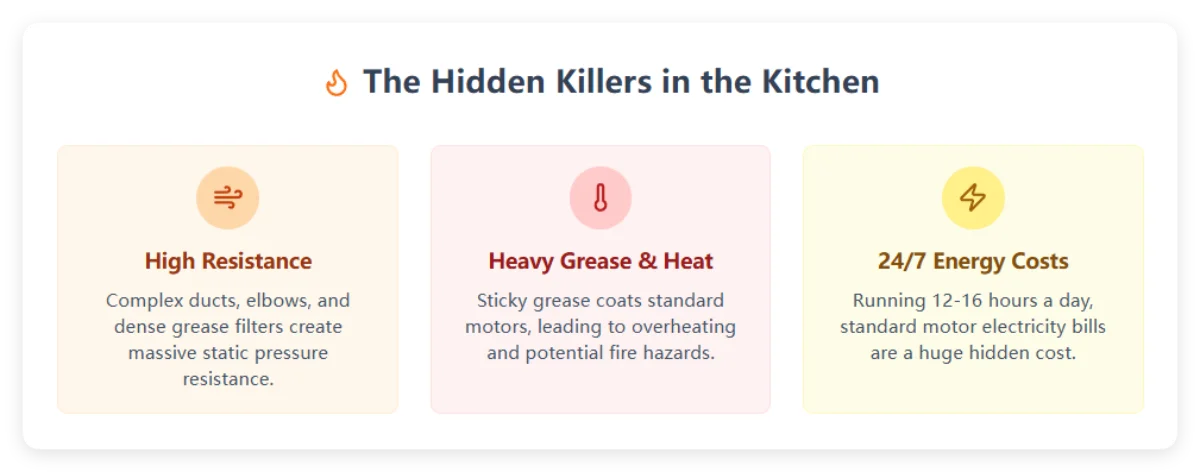 The Hidden Killers in the Kitchen
