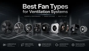 best fan type