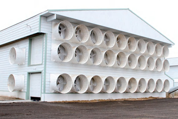 What are the Advantages of Poultry Exhaust Fan