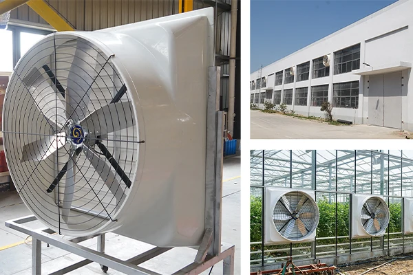 Why Choose Longwell Poultry Exhaust Fan