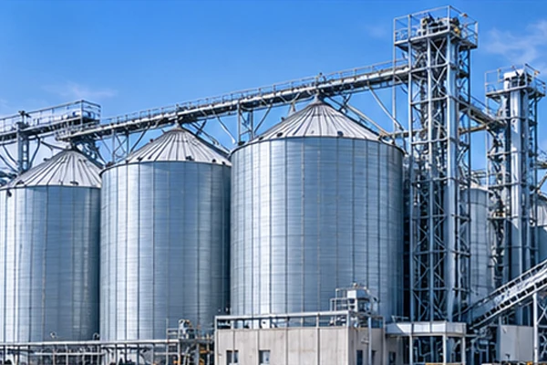 Grain Processing